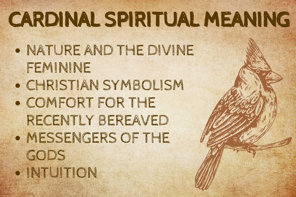 Cardinal Spiritual Meaning