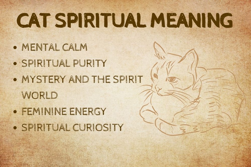 Cat Spiritual Meaning