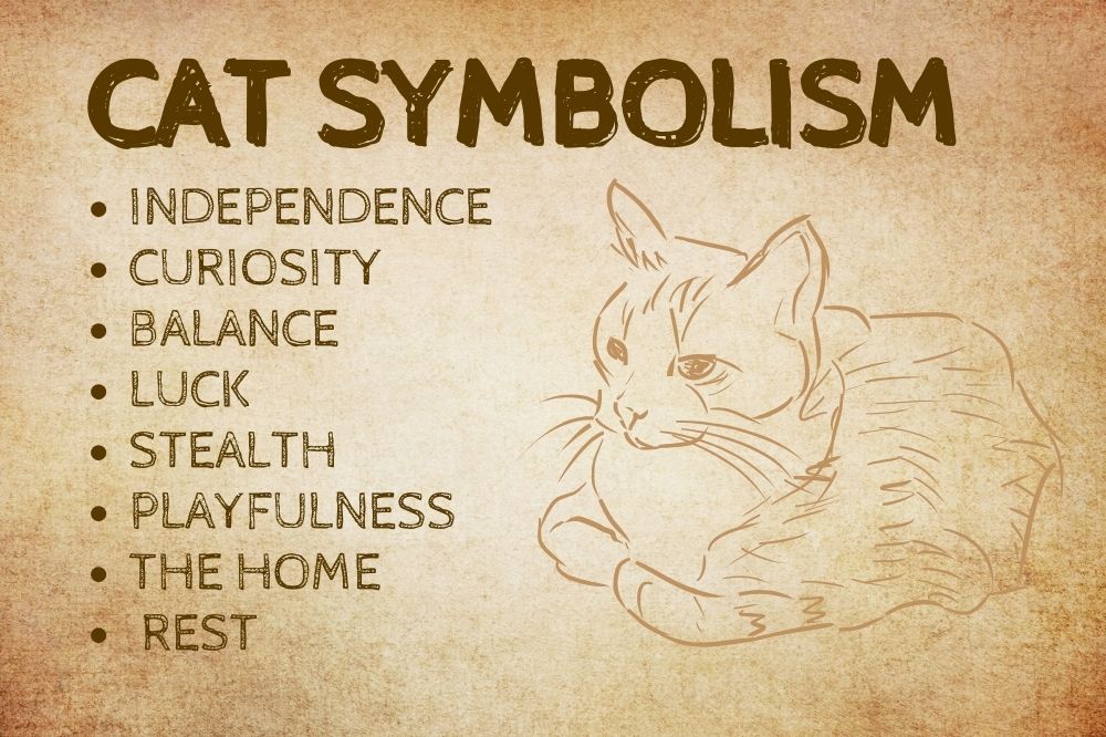 Cat Symbolism1