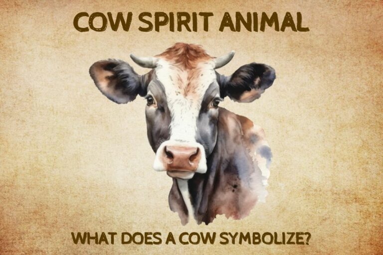Cow Spirit Animal: What Does a Cow Symbolize?