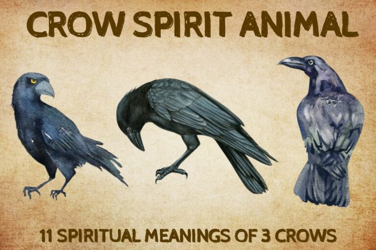 3 Crows Spiritual Meanings
