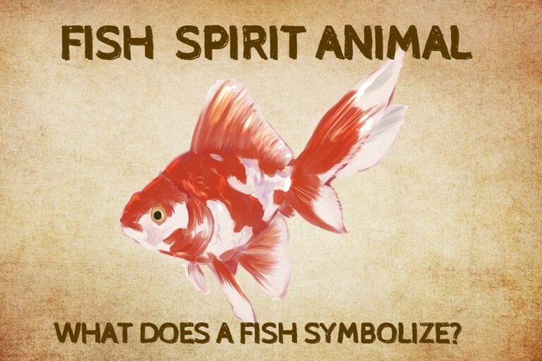 Fish Spirit Animal: What Does a Fish Symbolize?