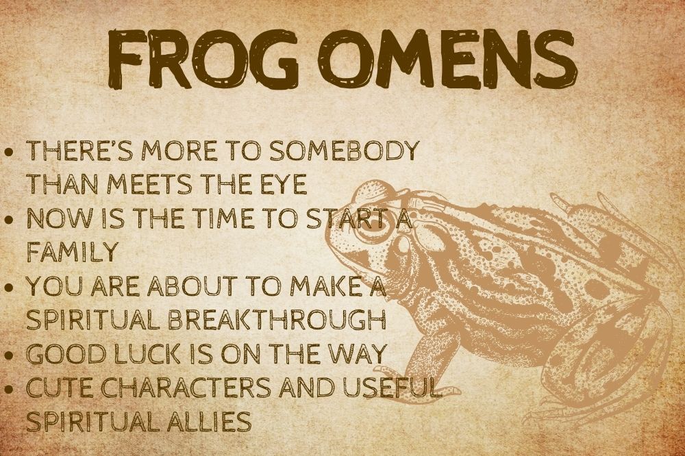 Frog Omens