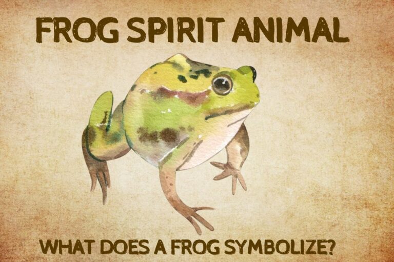 Frog Spirit Animal: What Does a Frog Symbolize?