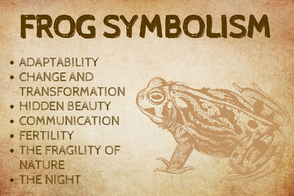 Frog Symbolism