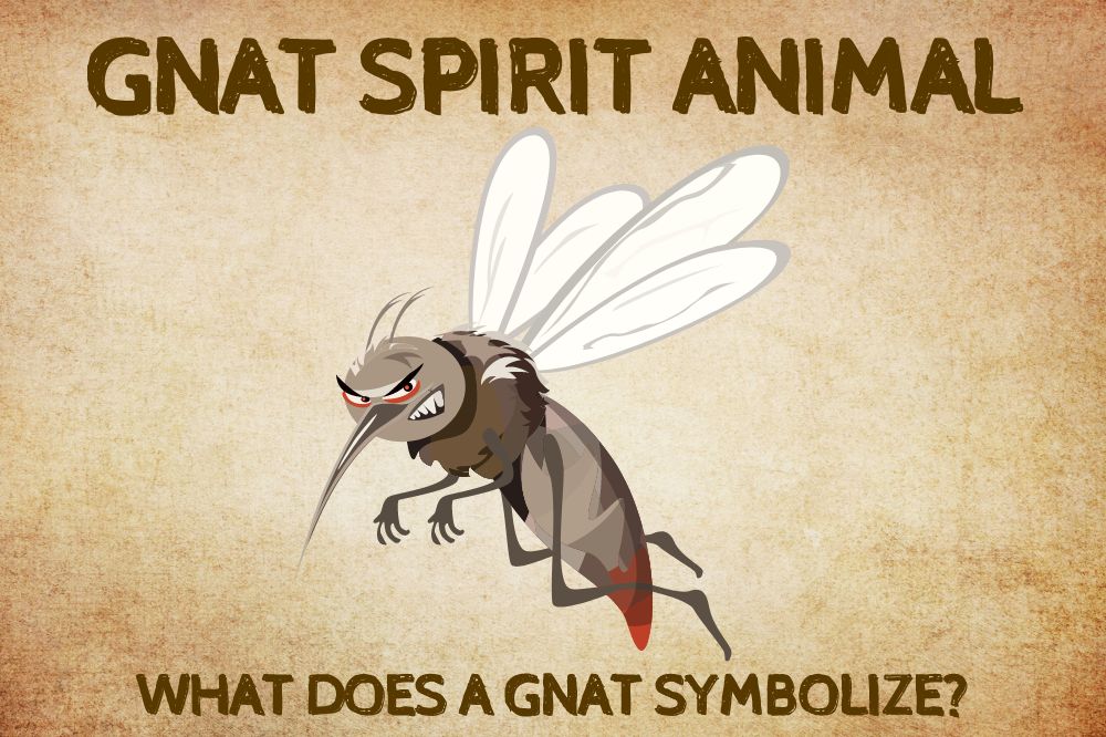 Gnat Spirit Animal: What Does a Gnat Symbolize?