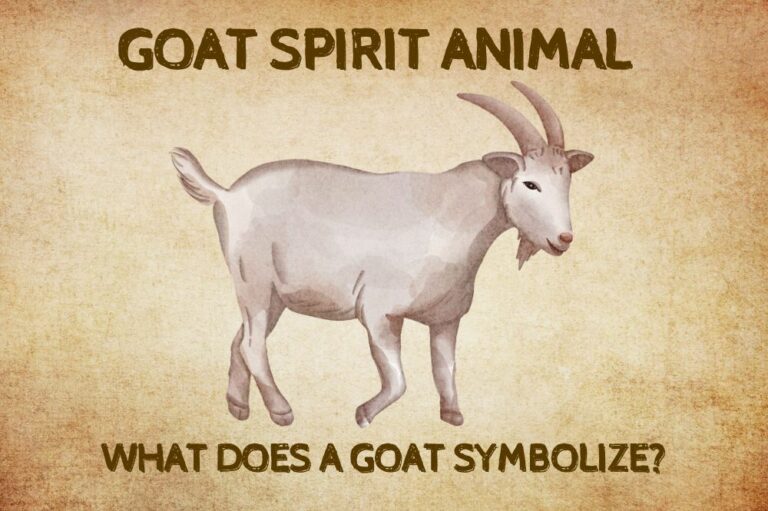 Goat Spirit Animal: What Does a Goat Symbolize?
