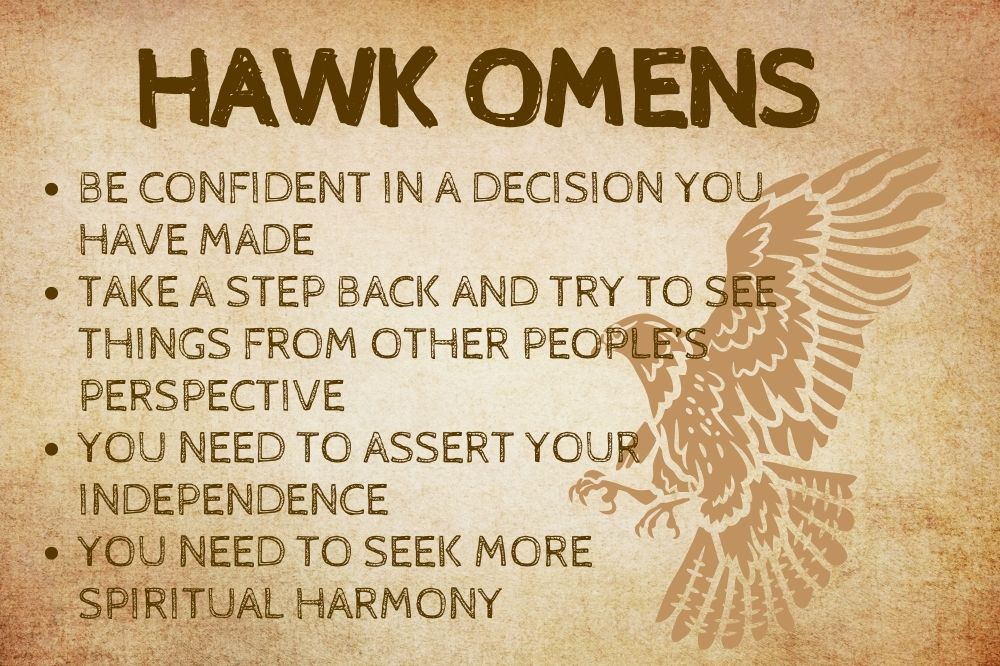 Hawk Omens