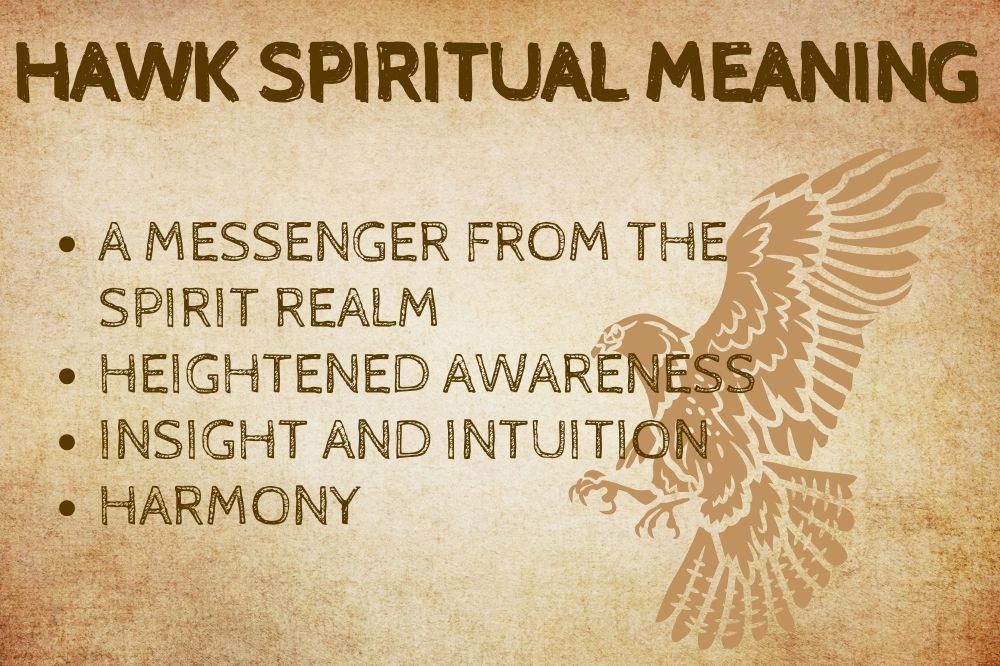 Hawk Spiritual Meaning
