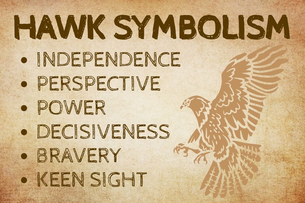 Hawk Symbolism