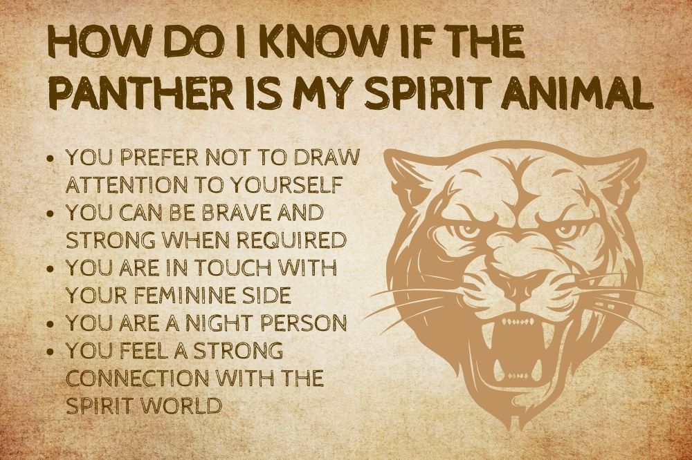How Do I Know if the Panther Is My Spirit Animal