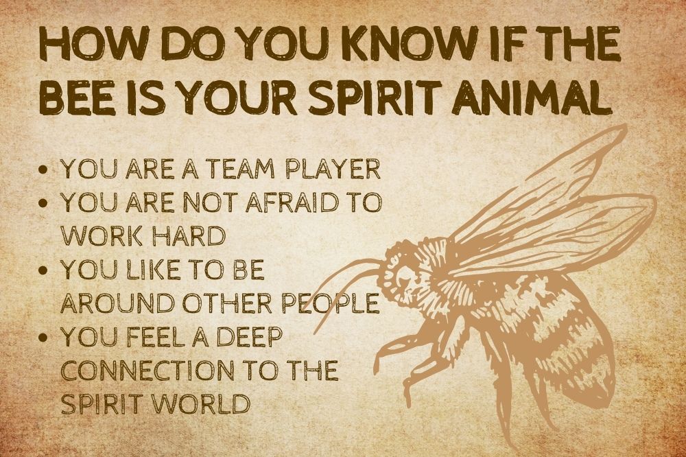 How Do You Know if the Bee Is Your Spirit Animal?