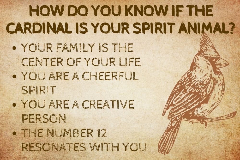 How Do You Know if the Cardinal Is Your Spirit Animal?