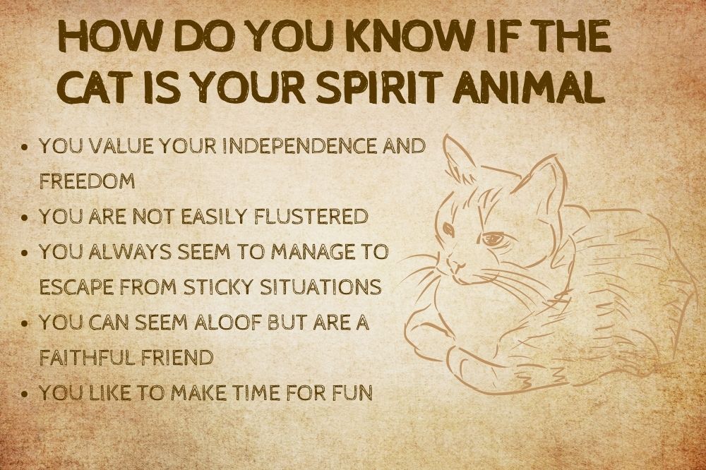 How Do You Know if the Cat Is Your Spirit Animal