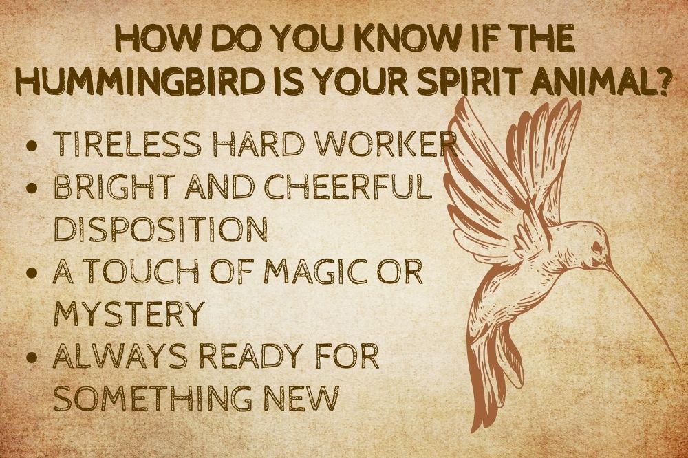 How Do You Know if the Hummingbird Is Your Spirit Animal?