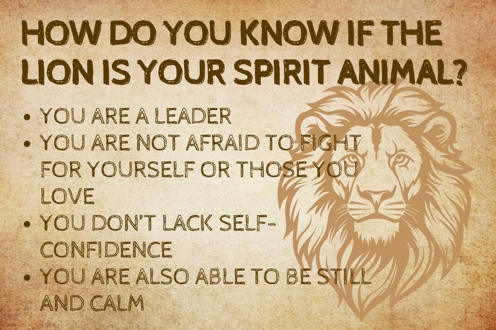 How Do You Know if the Lion Is Your Spirit Animal