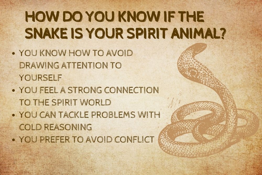 How Do You Know if the Snake Is Your Spirit Animal?