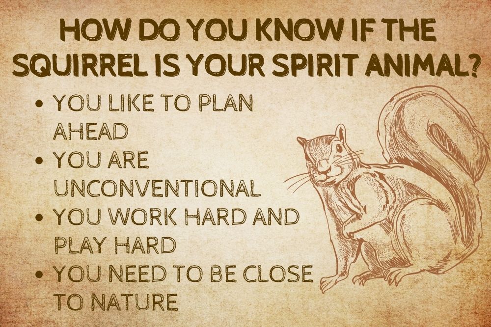 How Do You Know if the Squirrel Is Your Spirit Animal?