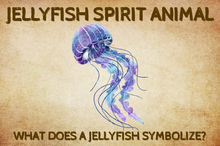 Jellyfish Spirit Animal: What Does a Jellyfish Symbolize?