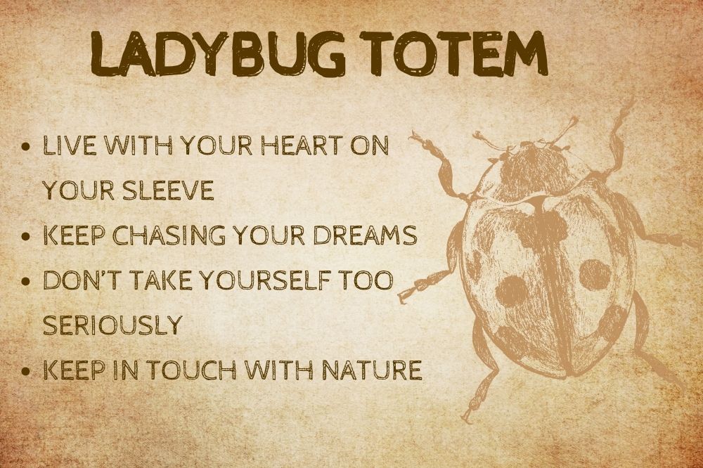 Ladybug Totem