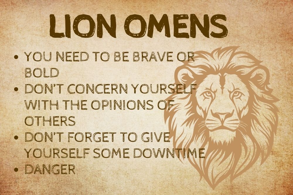 Lion Omens