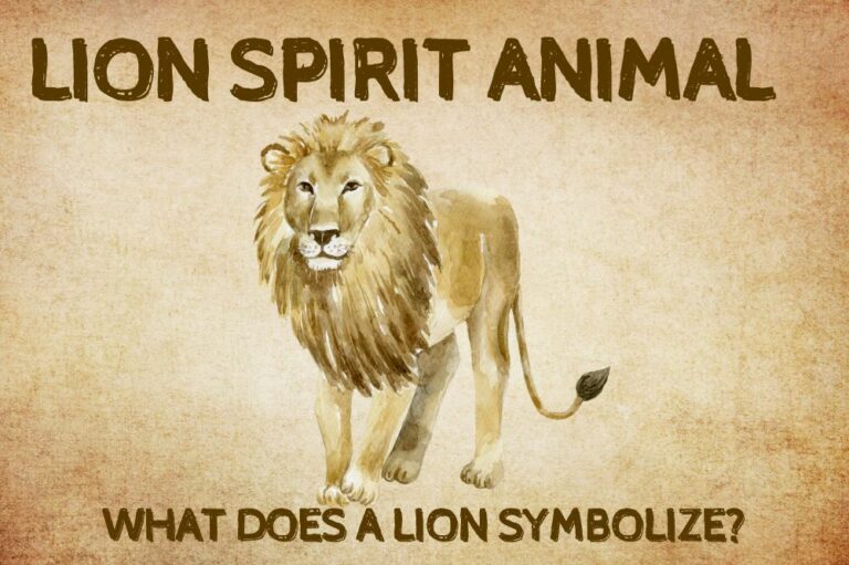 Lion Spirit Animal: What Does a Lion Symbolize?