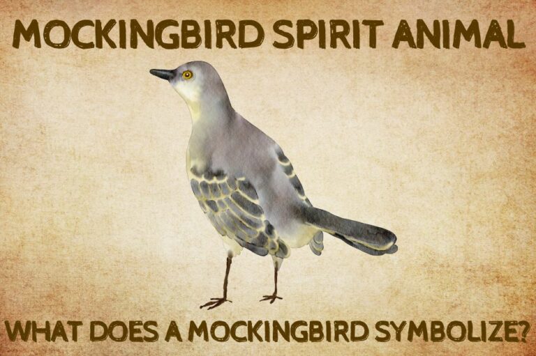Mockingbird Spirit Animal: What Does a Mockingbird Symbolize?