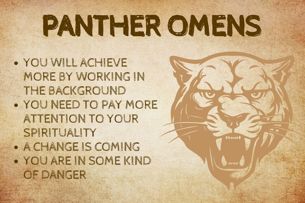 Panther Omens