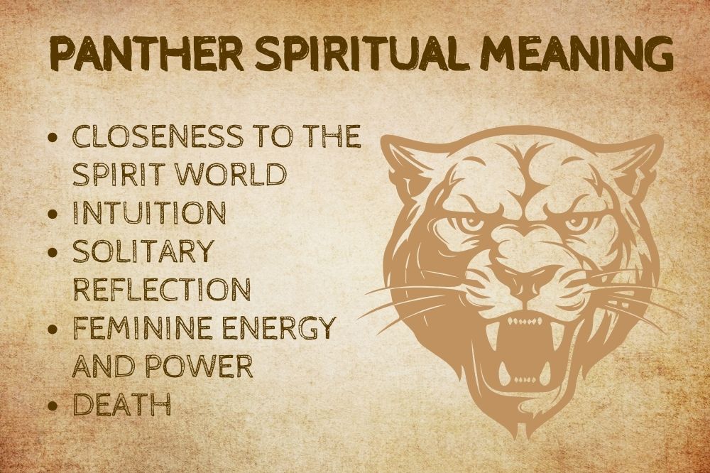 Panther Spiritual Meaning