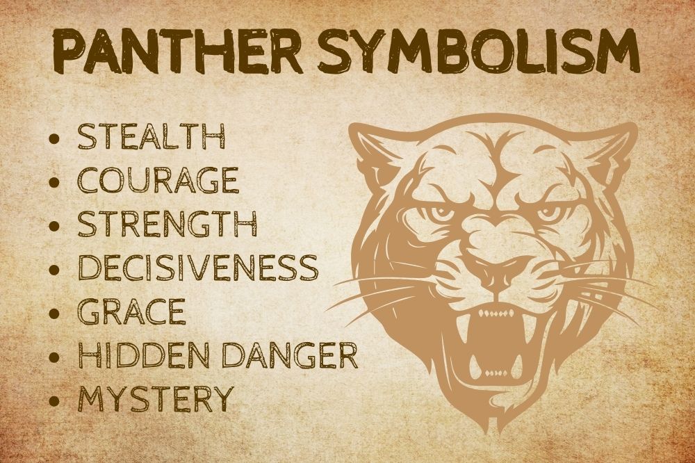 Panther Symbolism