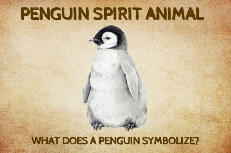 Penguin Spirit Animal: What Does a Penguin Symbolize?