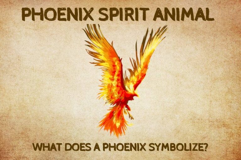 Phoenix Spirit Animal: What Does a Phoenix Symbolize?