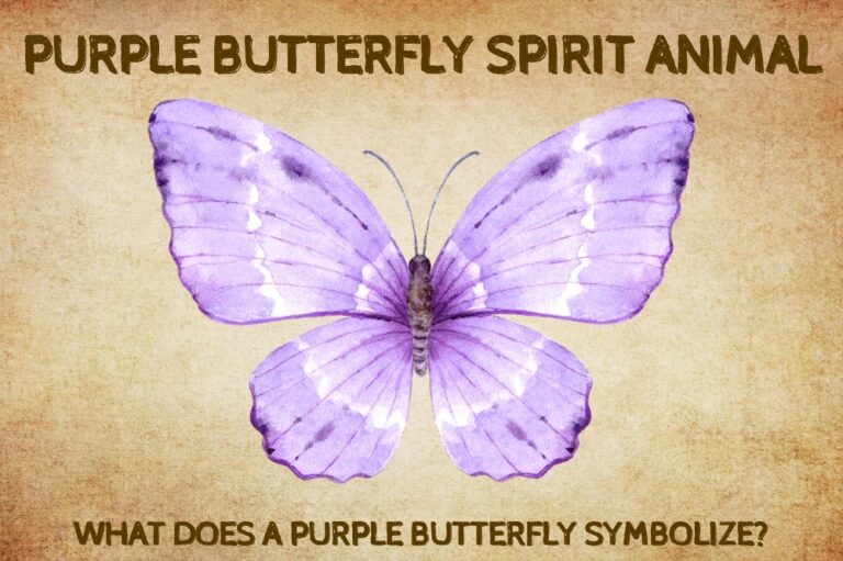 Purple Butterfly Spirit Animal: What Does a Purple Butterfly Symbolize?