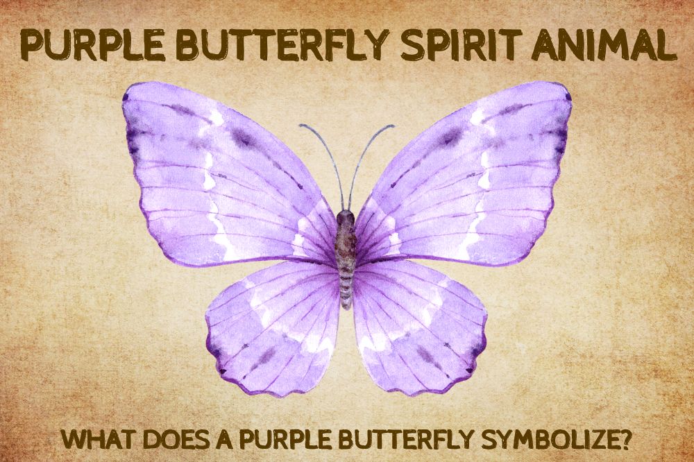 Purple Butterfly Spirit Animal