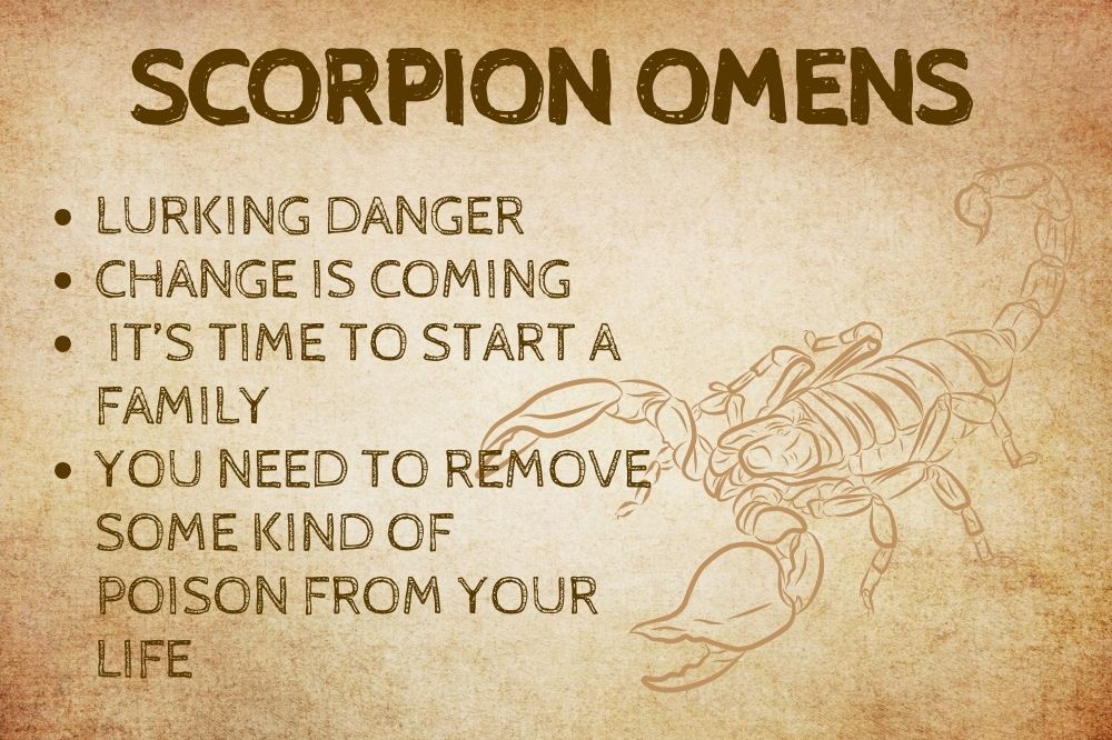 Scorpion Omens
