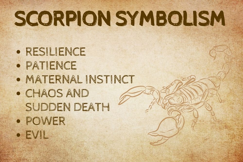 Scorpion Symbolism