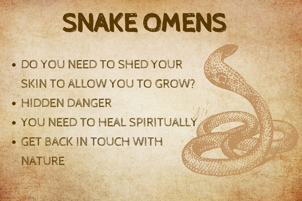 Snake Omens