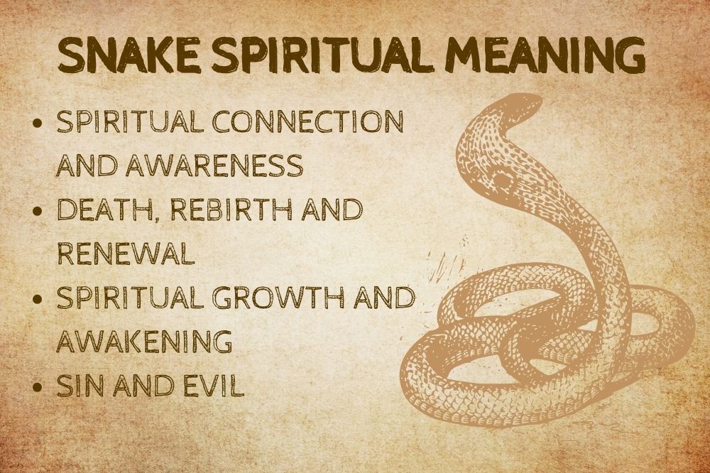 Snake Spiritual Meaning