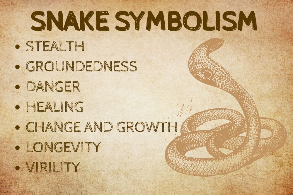 Snake Symbolism
