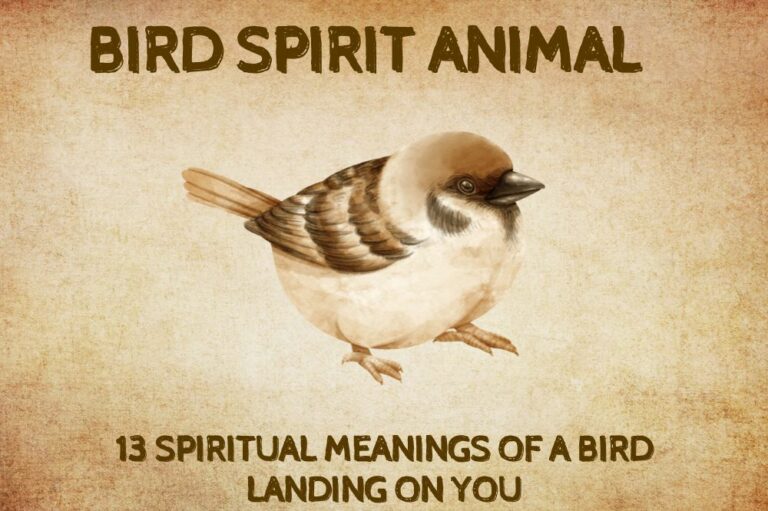13 Spiritual Meanings Of a Bird Landing On You