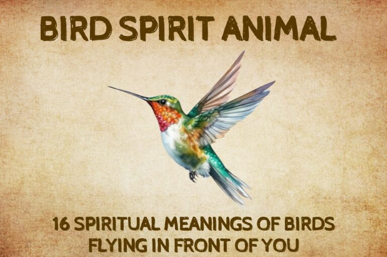 16 Spiritual Meanings of Birds Flying in Front of You