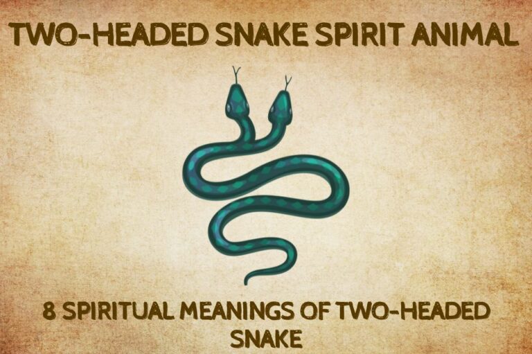 8 Spiritual Meanings of Two-Headed Snake