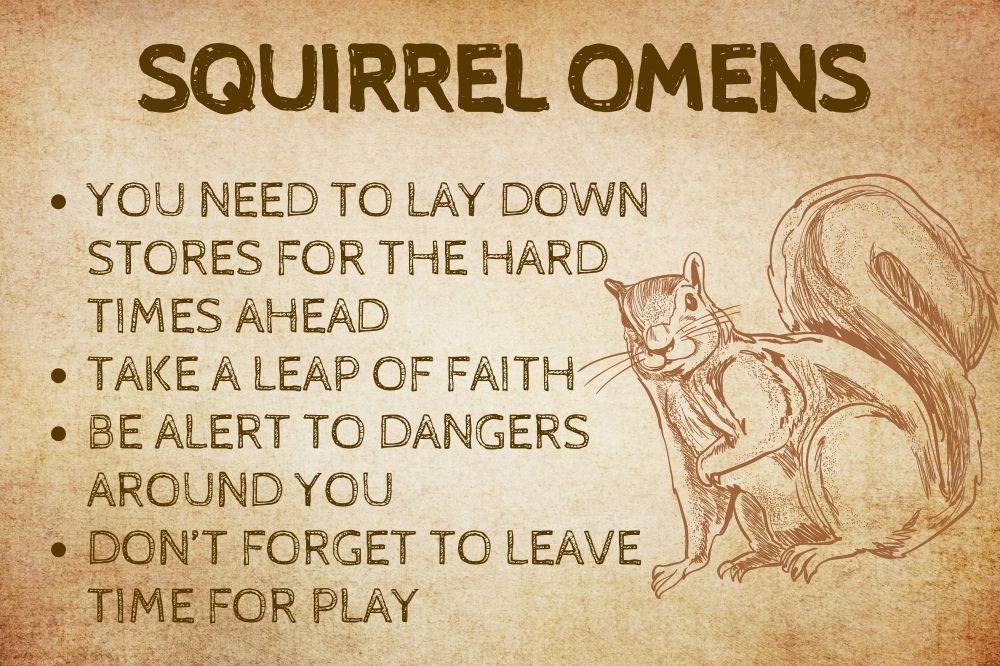 Squirrel Omens