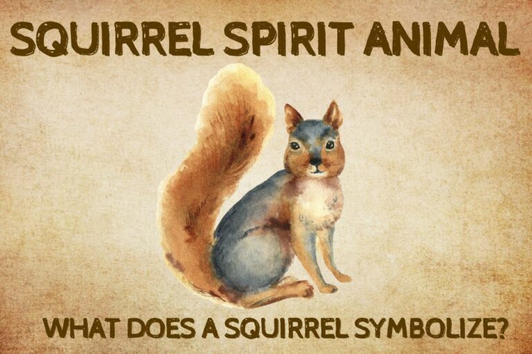 Squirrel Spirit Animal: What Does a Squirrel Symbolize?