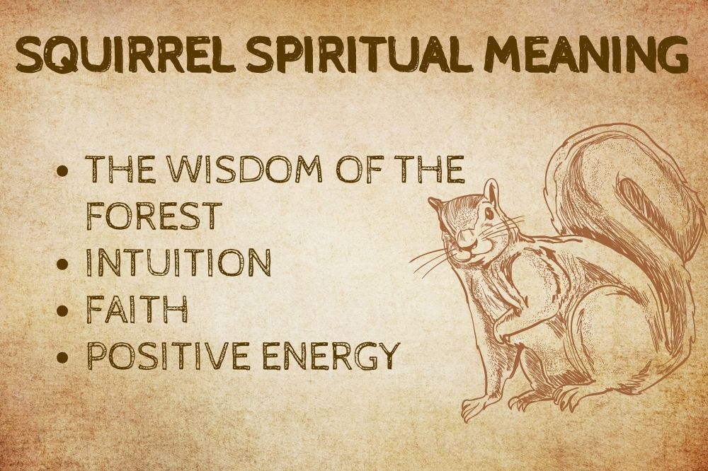 Squirrel Spiritual Meaning