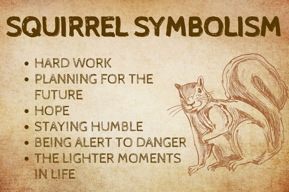 Squirrel Symbolism