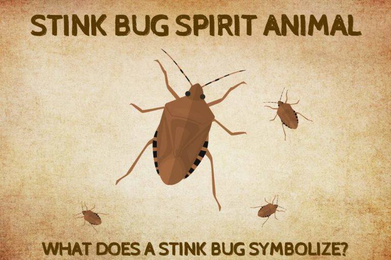 Stink Bug Spirit Animal: What Does a Stink Bug Symbolize?