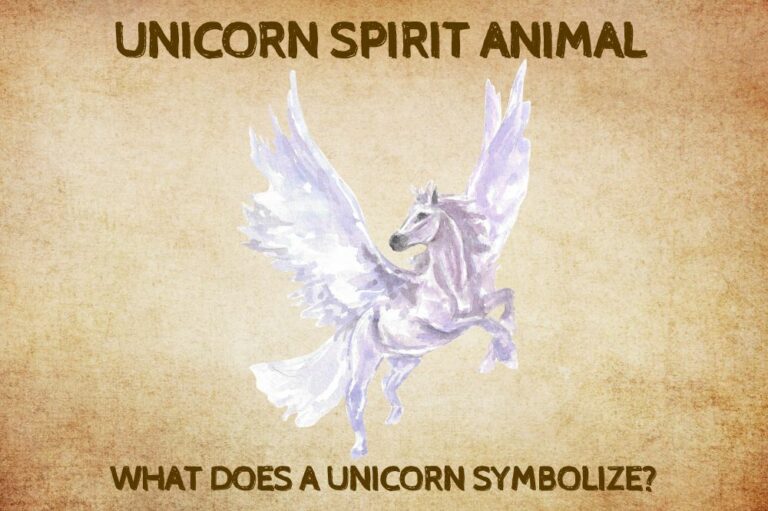 Unicorn Spirit Animal: What Does a Unicorn Symbolize?