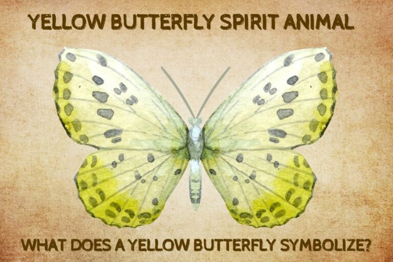 Yellow Butterfly Spirit Animal: What Does a Yellow Butterfly Symbolize?