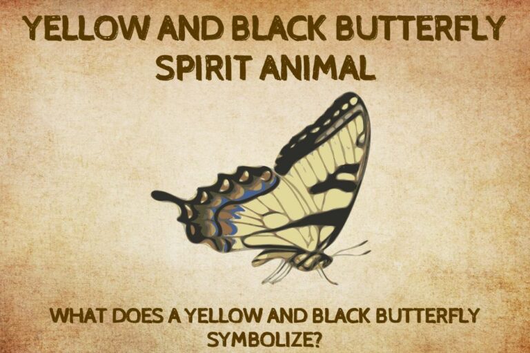 What Does a Yellow and Black Butterfly Symbolize?
